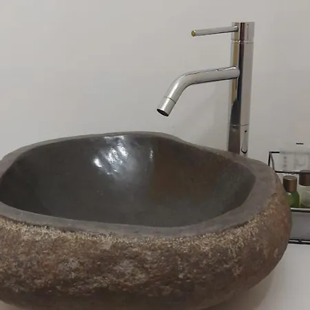 Kaktus 2 Bari