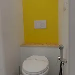 Kaktus 2