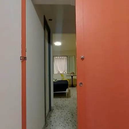 Kaktus 2