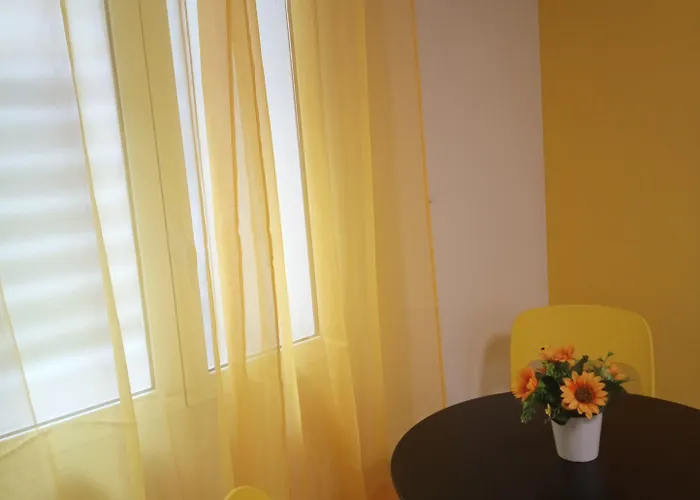 Kaktus 2 Gasthuis Bari